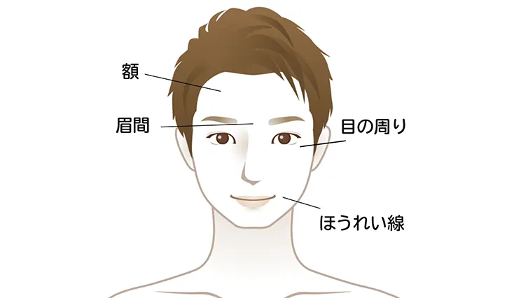 男性のしわが発生しやすい場所（顔）